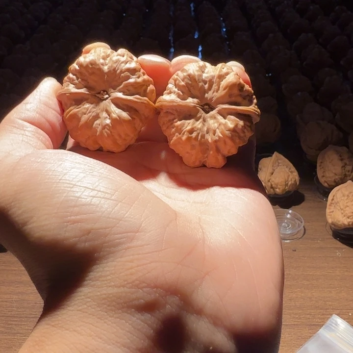 旗***旗核桃蛤蟆的眼睛是真的好看呀