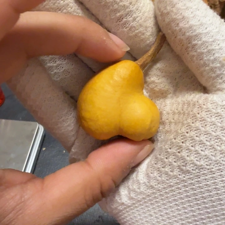 友****伤666666666666666