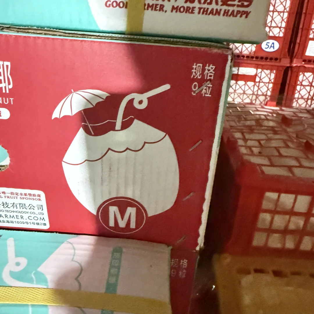 易开椰 M号 9粒装 包邮 现货现发