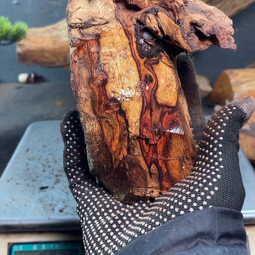 【闪购商品】黄花梨/降香黄檀感*