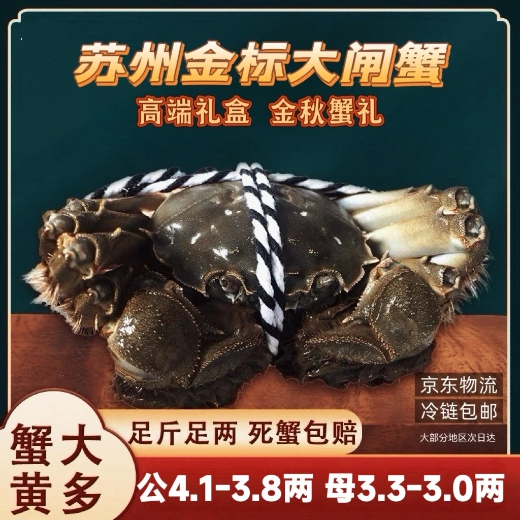 【苏州金标活蟹】大闸蟹公母组合公4.1~3.8两+母3.3~3.0两礼盒装冷链包邮8+2到手5对10只活蟹现捕现捞河蟹