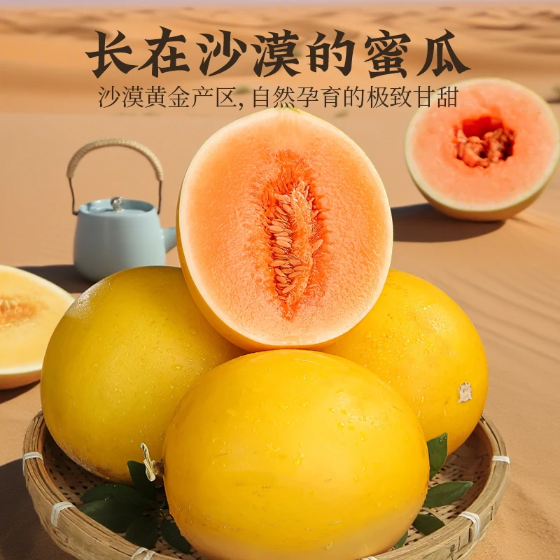 甘肃民勤沙漠金红宝蜜瓜甜瓜脆甜多汁产地现摘