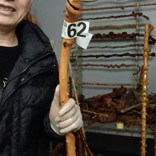 光***明香榧木高山 檬子木文玩料