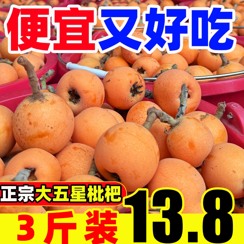 汉源大五星枇杷正宗四川新鲜水果产地直发当季鲜果现摘