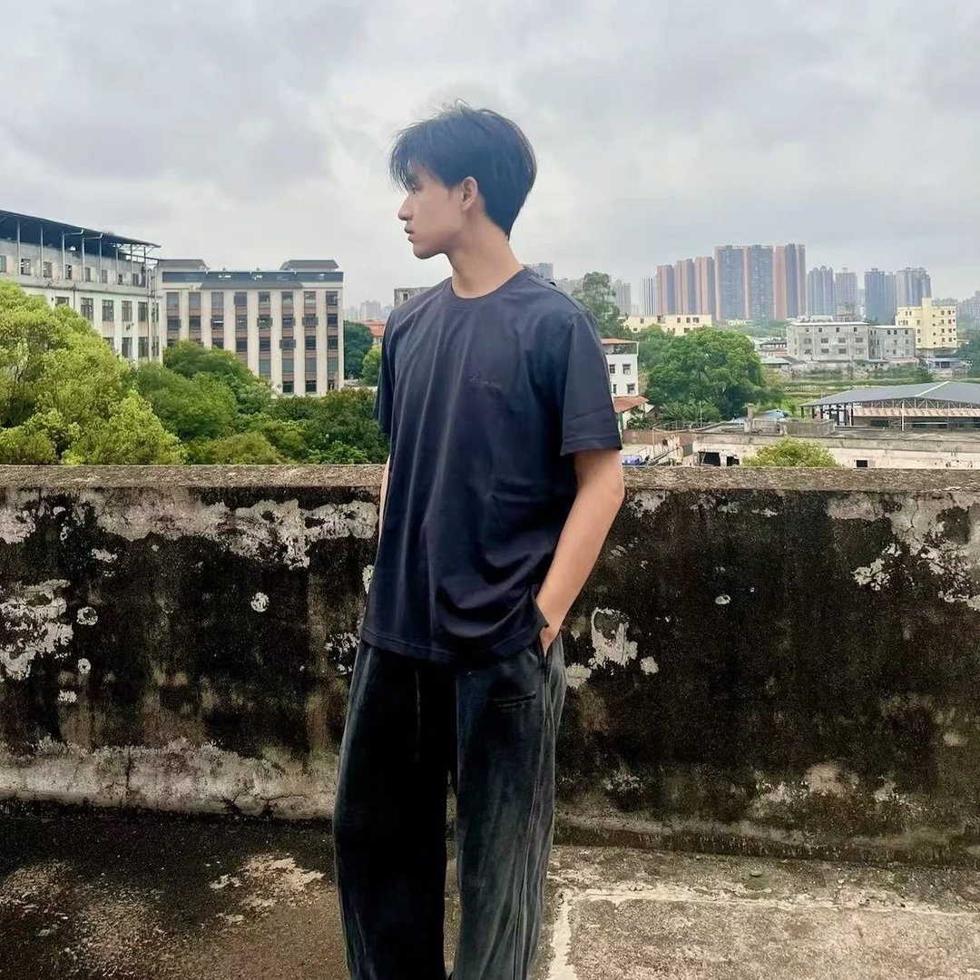 小雪男士休闲圆领刺绣百搭夏季短袖T恤