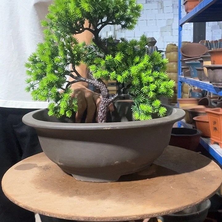 31紫泥大碗盆花盆花盆花盆