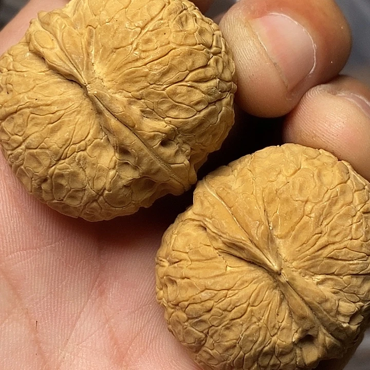 文玩核桃把件云南铁核桃78
