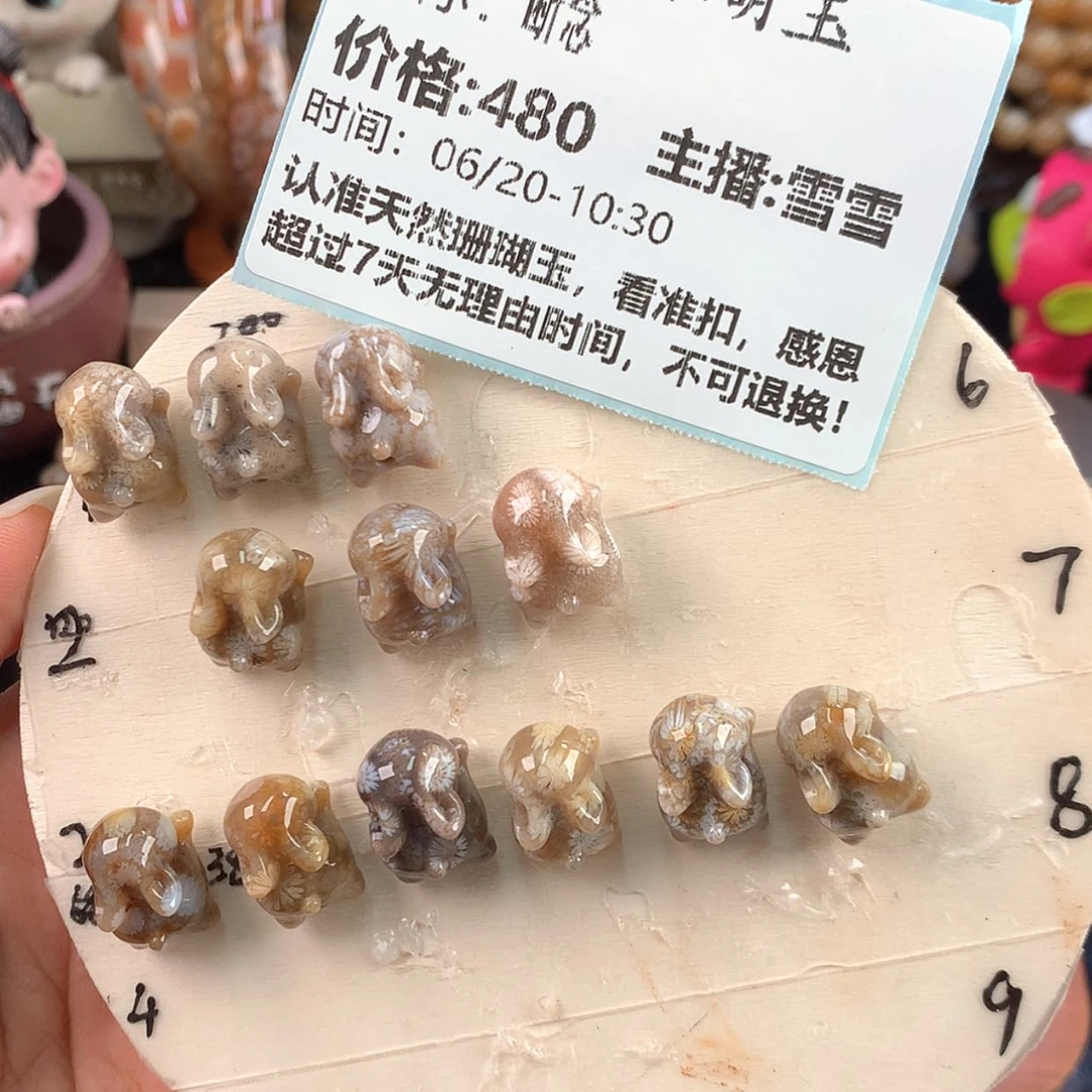 【闪购商品】硅化珊瑚（珊瑚玉）未镶嵌颈饰断*