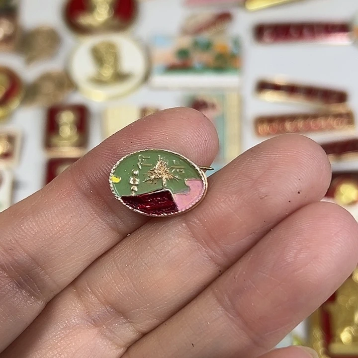 夏****其他普通金属纪念章