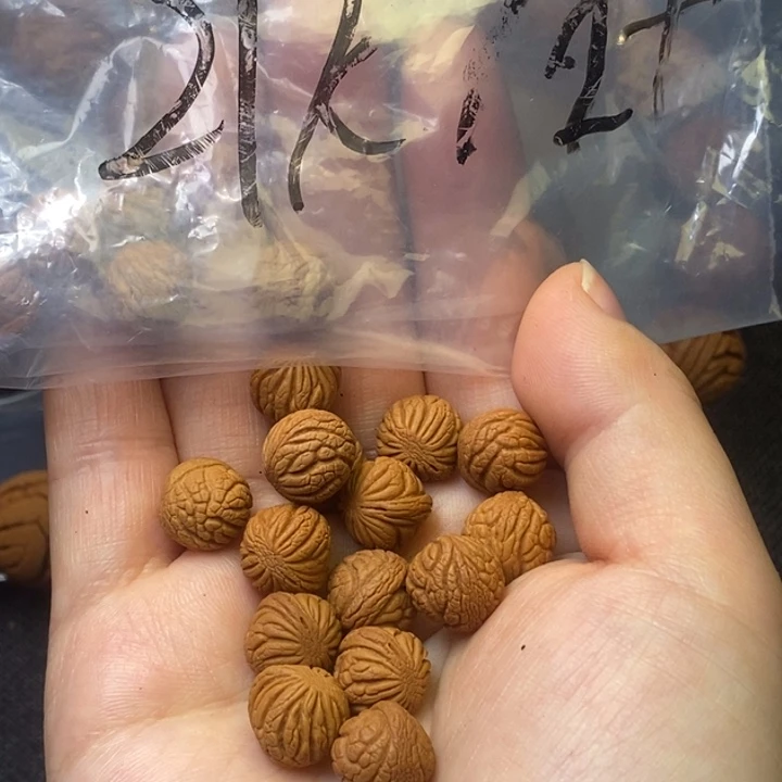 桃核吊坠秦岭山野生桃核