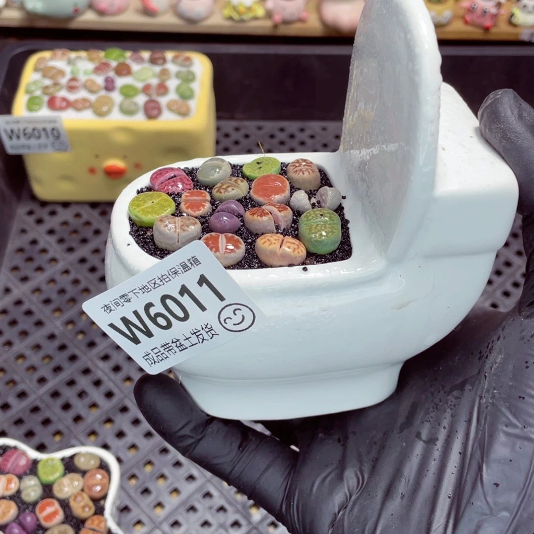 夜间零下地区拍保温箱w6011