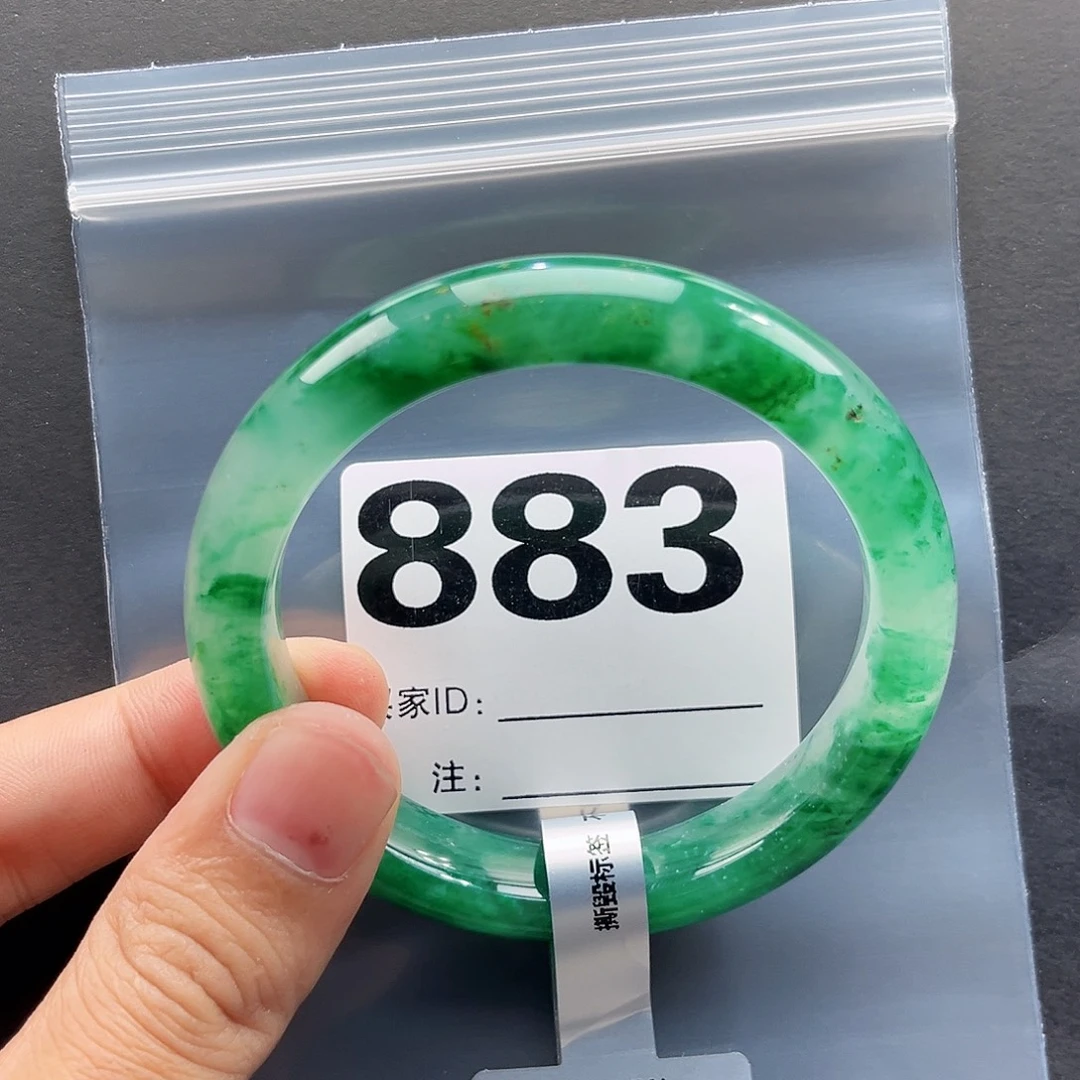未镶嵌手镯石英质玉（非洲翠）58圈口883