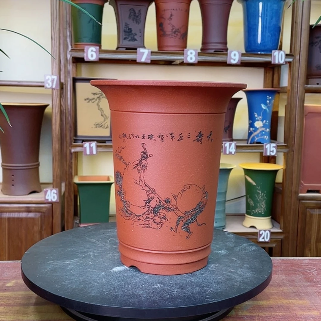 【闪购商品】紫砂花盆兰花455562258886624888