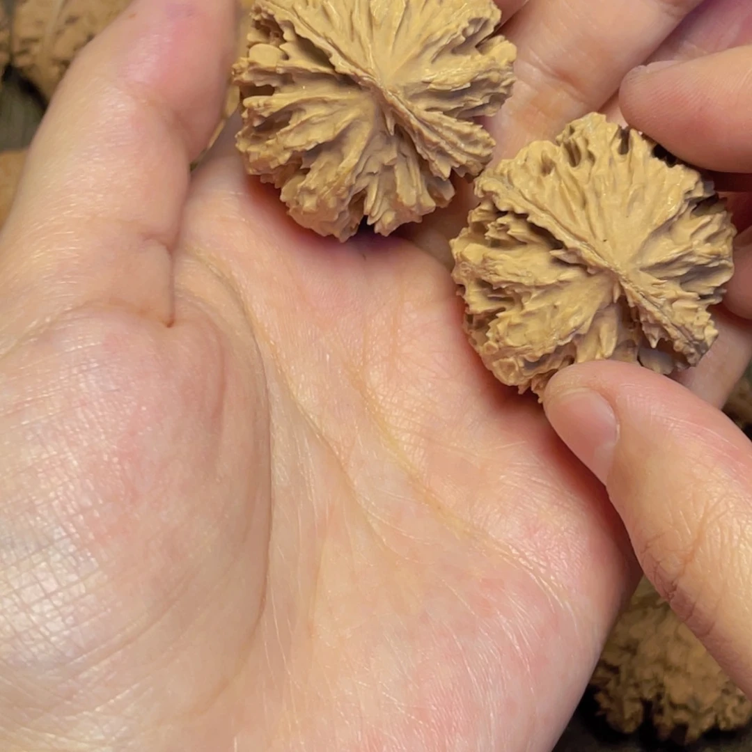 桃核把件5 秦岭灯笼野生小众