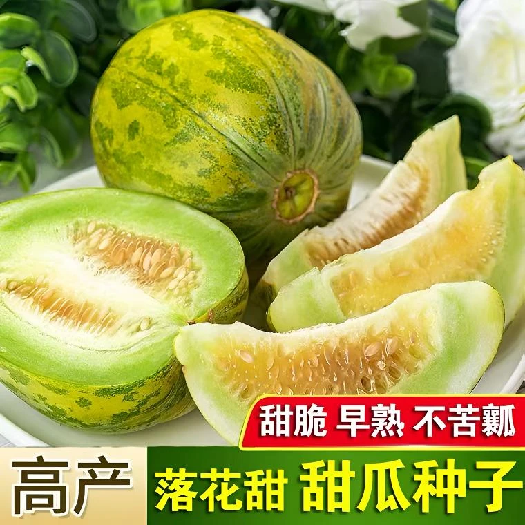 【买2包送1包】落花甜瓜种子花皮甜脆香瓜种籽薄皮糖度高早熟水果种