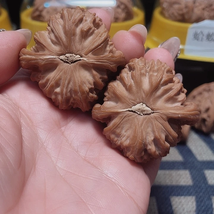 文玩核桃把件t***.白狮子45