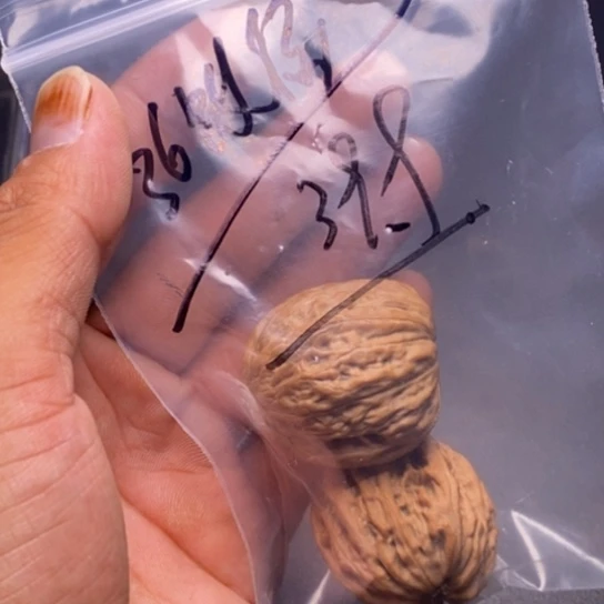 【闪购商品】把件文玩核桃D****.铁锤