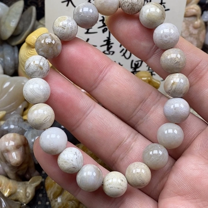 硅化珊瑚（珊瑚玉）未镶嵌颈饰