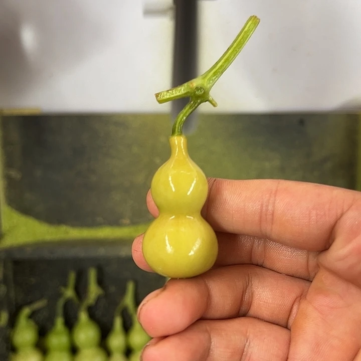 ****天津嘴儿葫芦葫芦