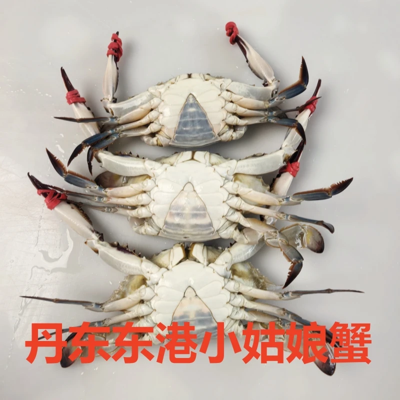 【保鲜不保活】东港小姑娘蟹3斤 2-4两左右一斤3-4只左右挂网有掉退