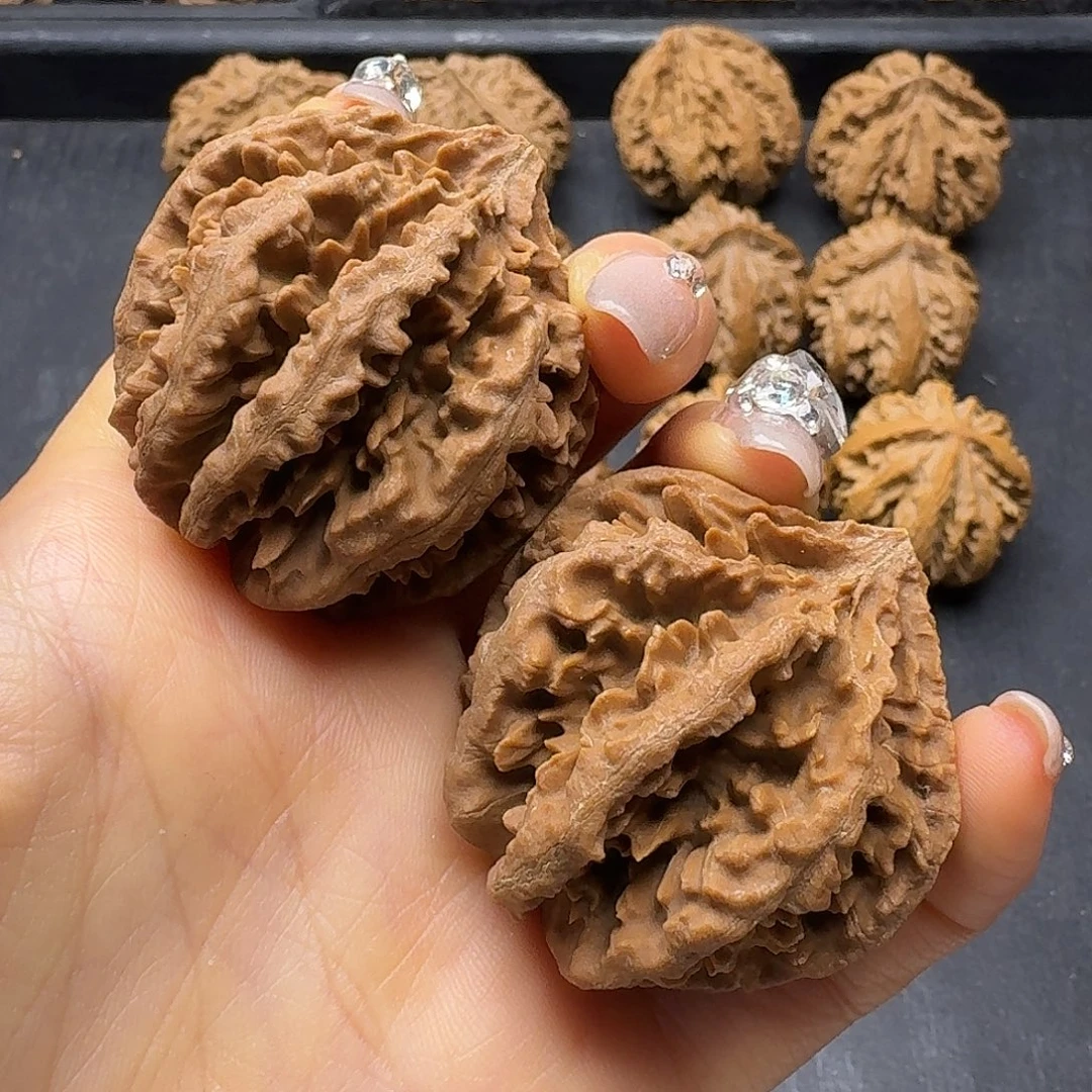 木质突突突突突突突