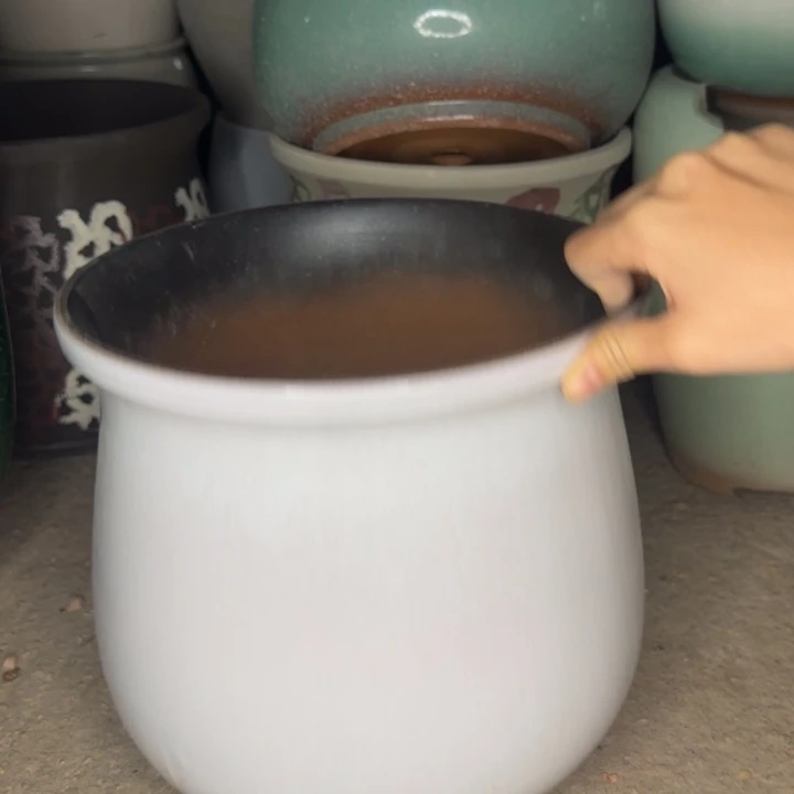 瑕疵花盆处理啦口25高25