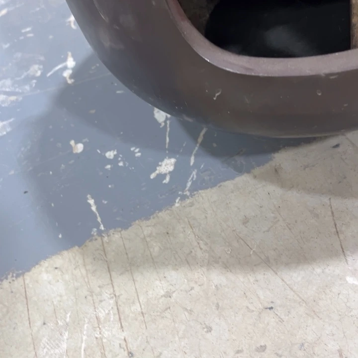 行***敏这么大岁数就是个好