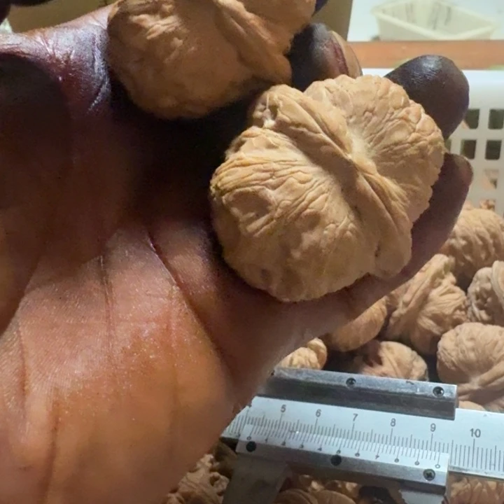 捌***壹吊坠文玩核桃核桃