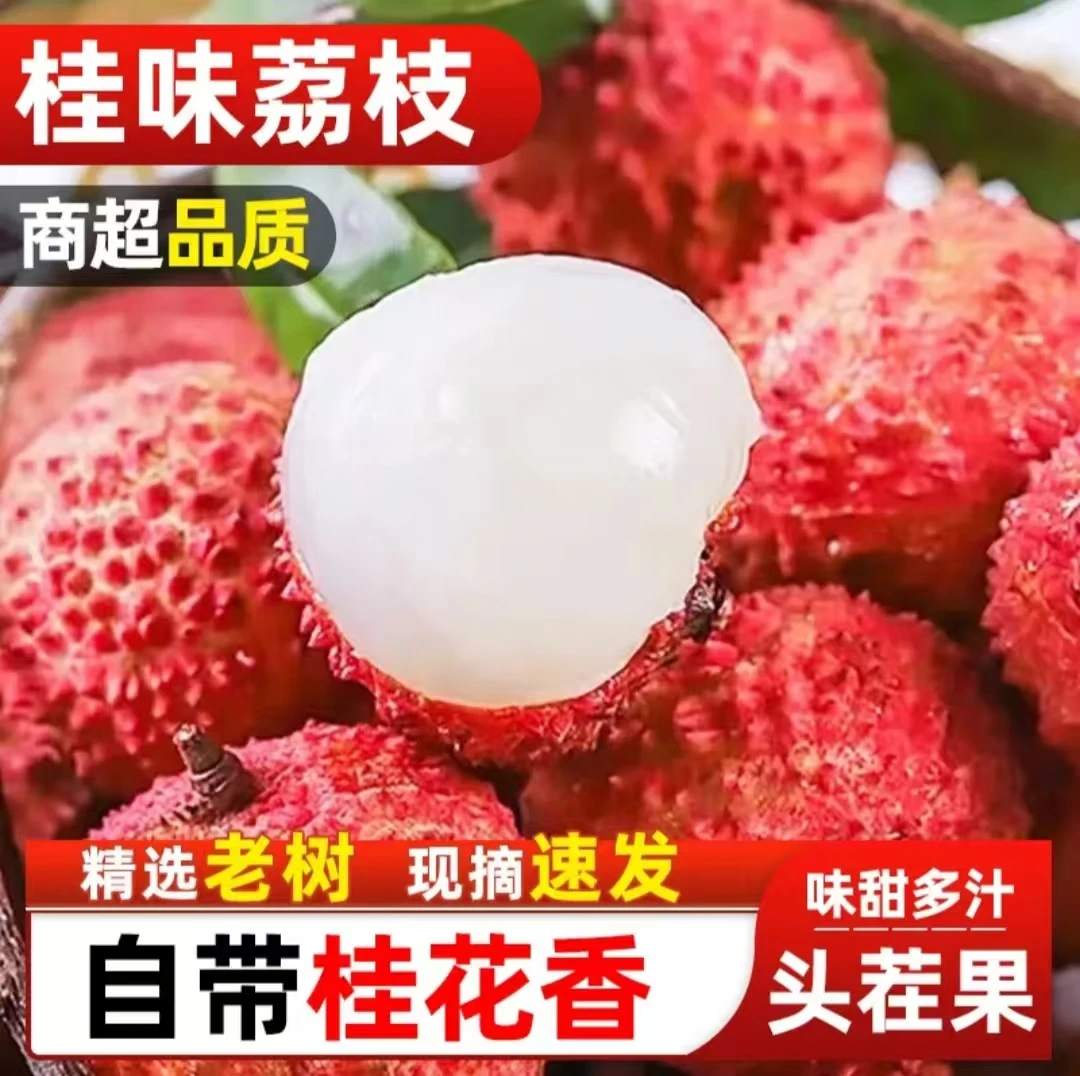 广东增城桂味荔枝 新鲜采摘冷链直达鲜荔枝坏果包赔