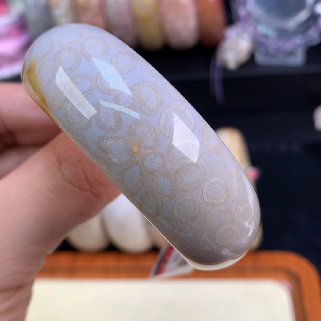 硅化珊瑚（珊瑚玉）未镶嵌颈饰65号52.4圈豹纹