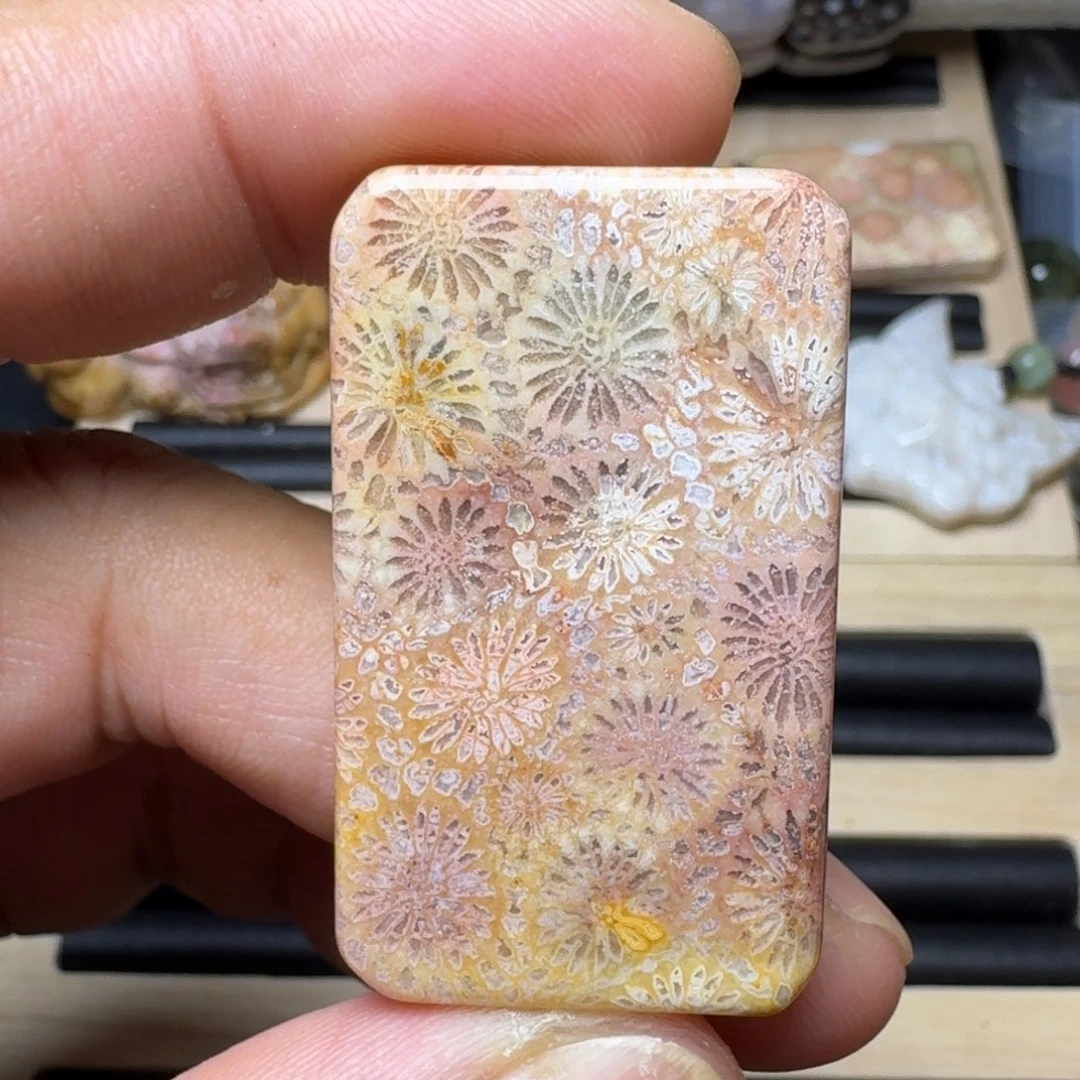 未镶嵌纯天然色有机玉石保真色硅化玉