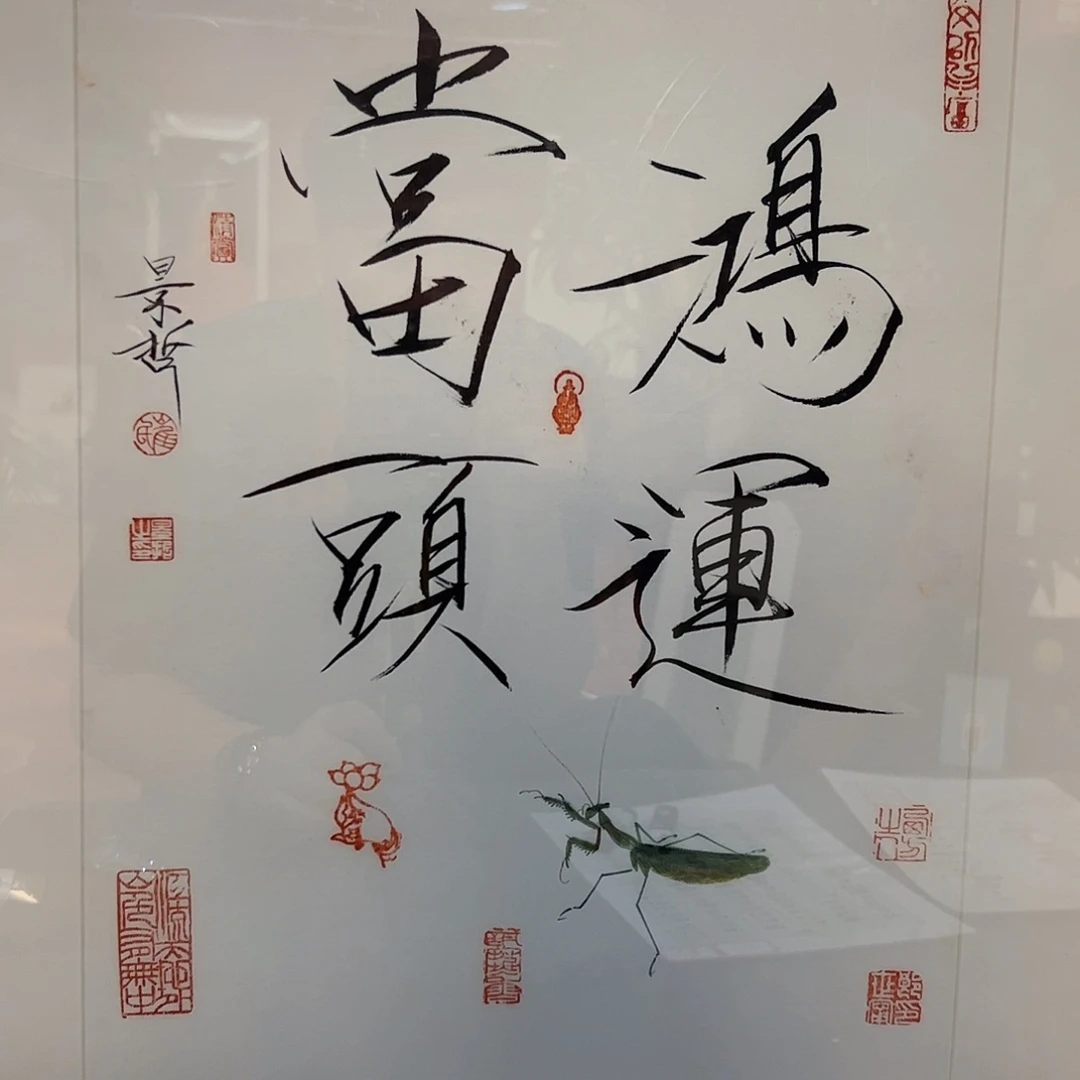 国画书法作品欣赏，书法作品