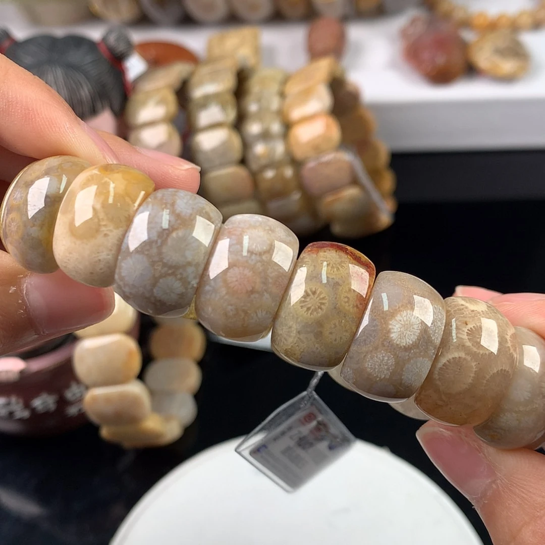 【闪购商品】硅化珊瑚（珊瑚玉）手镯未镶嵌福利手牌68漏48（5号）