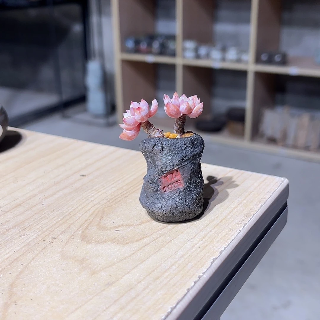 z***l内口1.2高3厘米左右