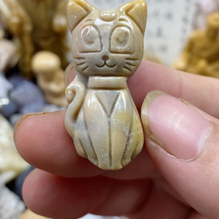 颈饰未镶嵌硅化珊瑚（珊瑚玉）小