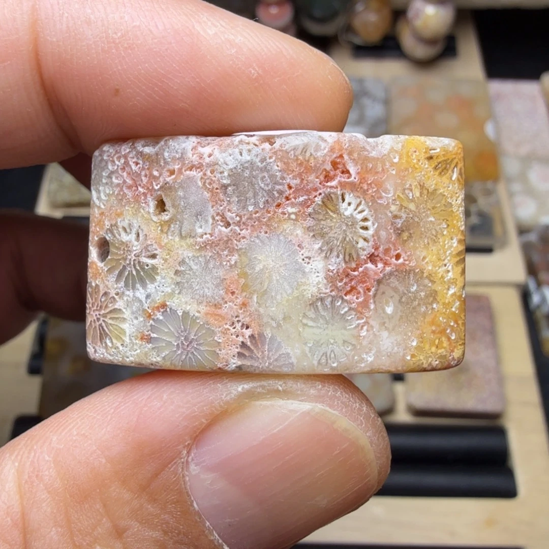 硅化玉未镶嵌纯天然色有机玉石保真色无珠无绳不退换