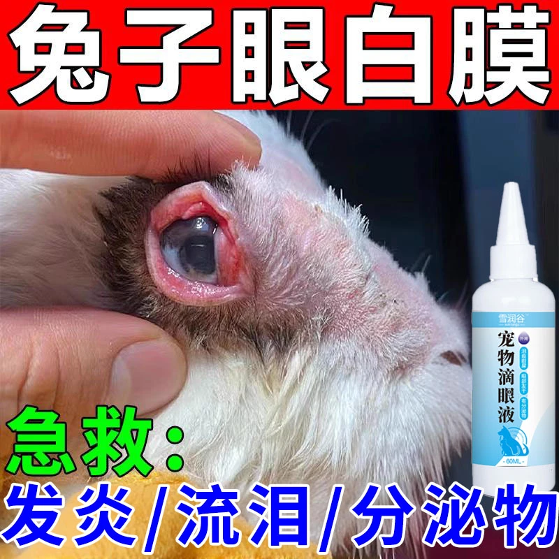 兔子眼睛发白氯眼白膜白内障霉滴眼液宠物眼睛发炎素流泪清洁专用