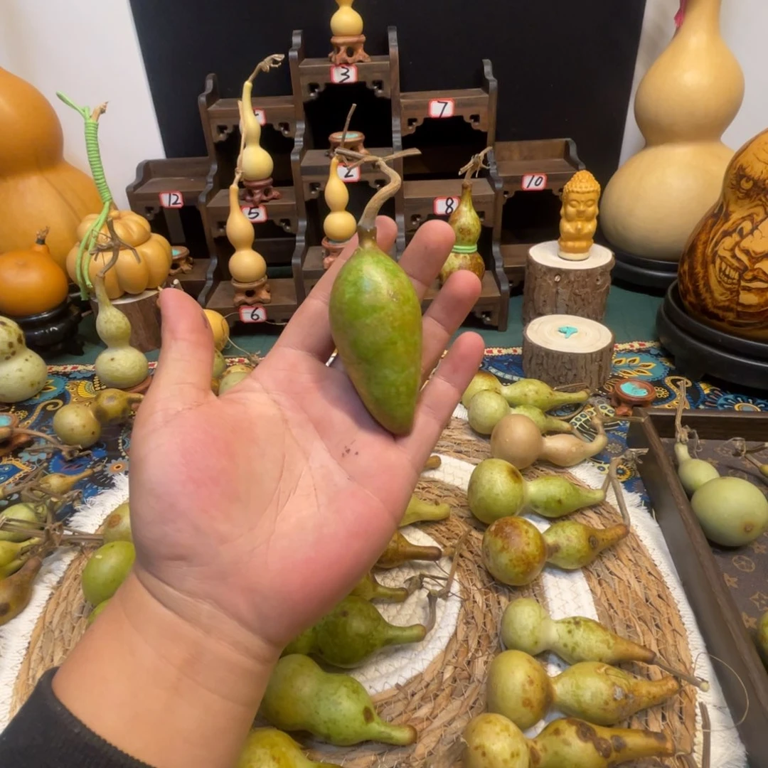 F***L感谢大哥支持兄弟