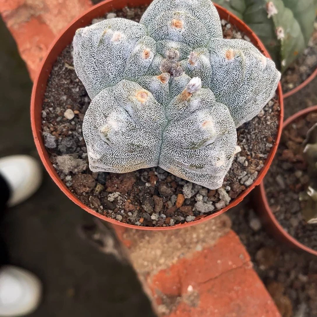 自*哈哈哈哈哈哈哈哈