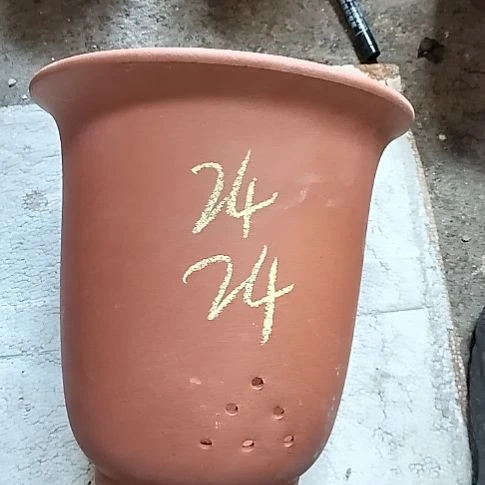红泥特大金钟一个花泥