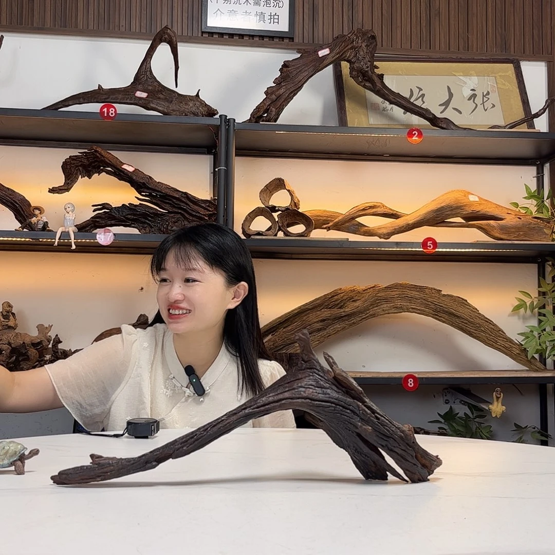 途***财长48高19。