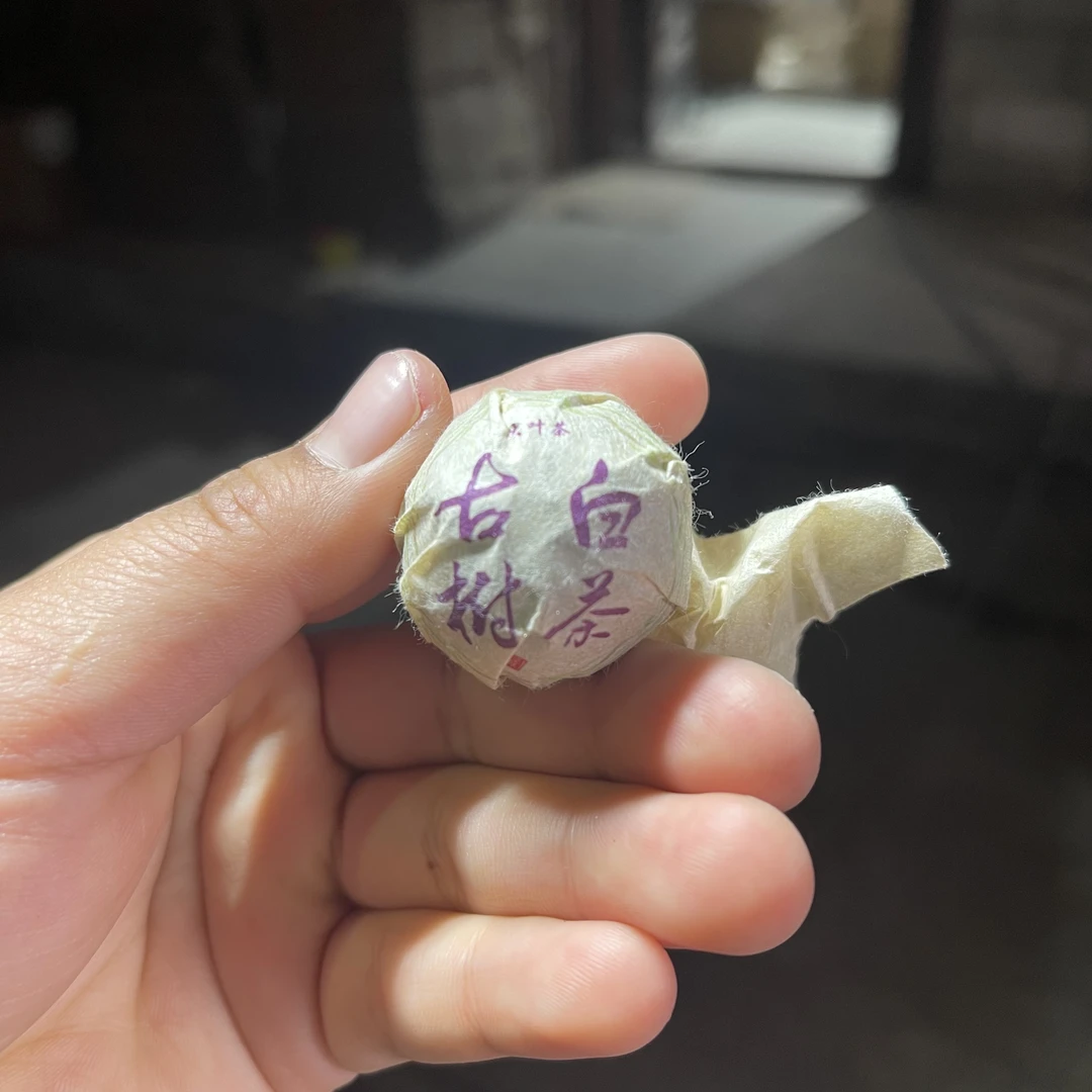 2020年忙肺白茶春龙珠 20颗 2月9【9号】