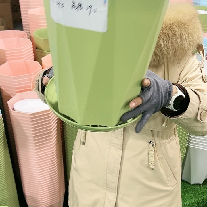 特价钻石FC245口24.5高29果绿带托3只