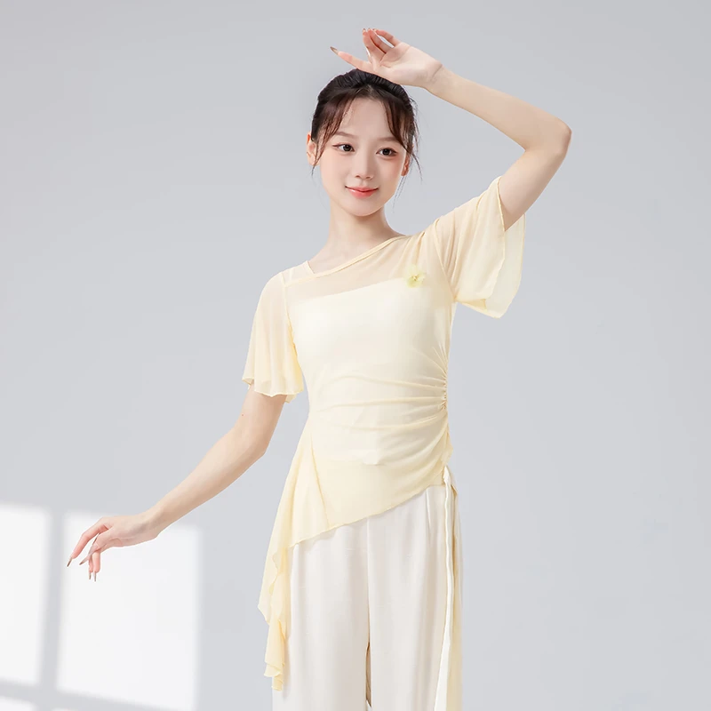 古典舞蹈服女夏季新款修身短袖网纱花朵上衣现代舞飘逸演出练功服