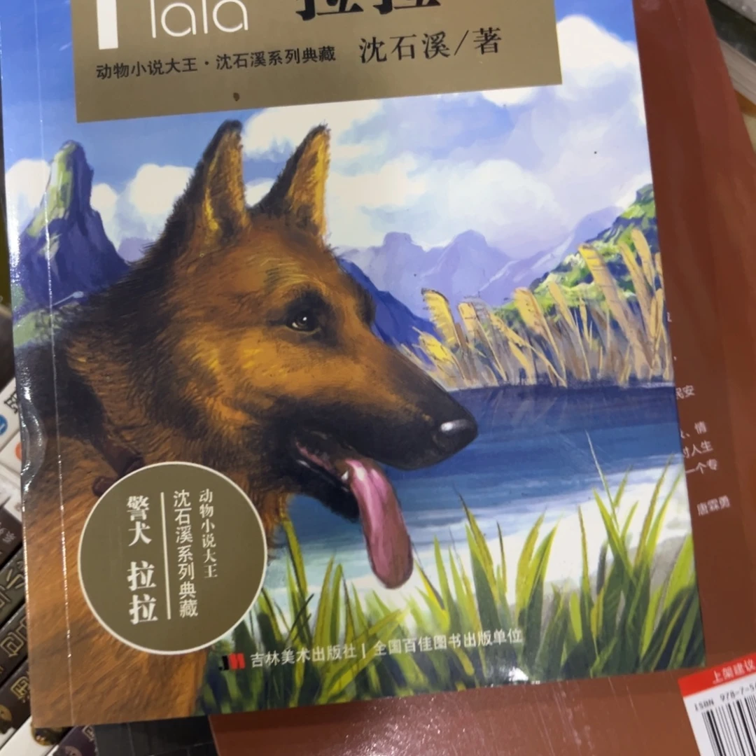 朵***妈警犬啦啦五米一个