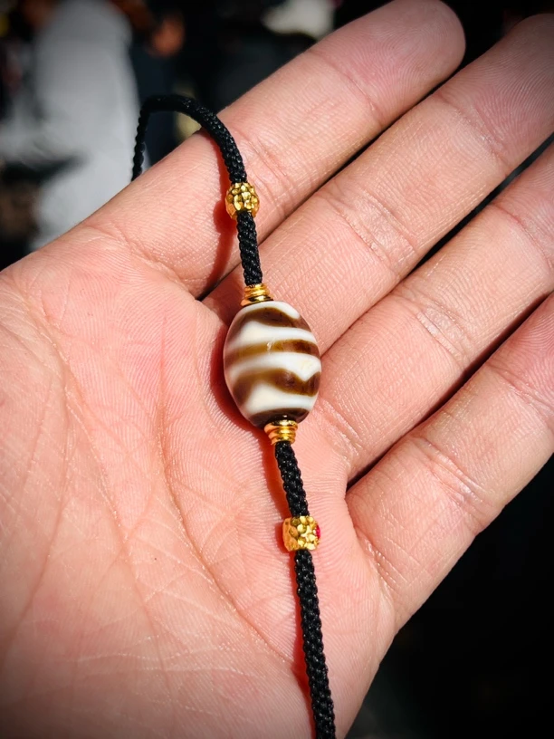 藏系珠「双牙牙达洛」尺寸：19.1×14.5×13.3