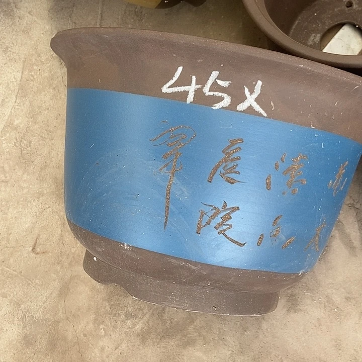 45花盆花盆花盆花盆后