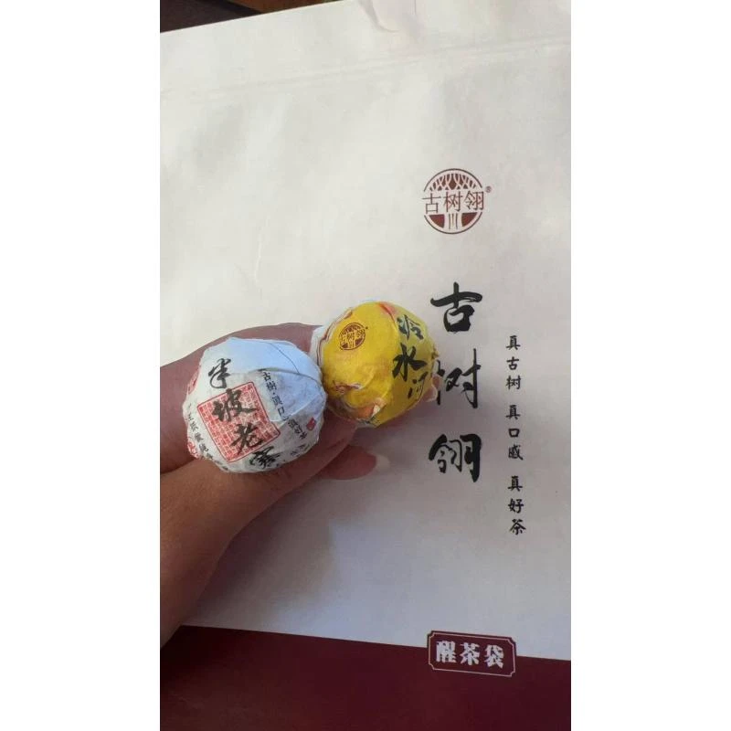 古树翎[半坡老寨、冷水河]高端古树普洱生茶试饮装