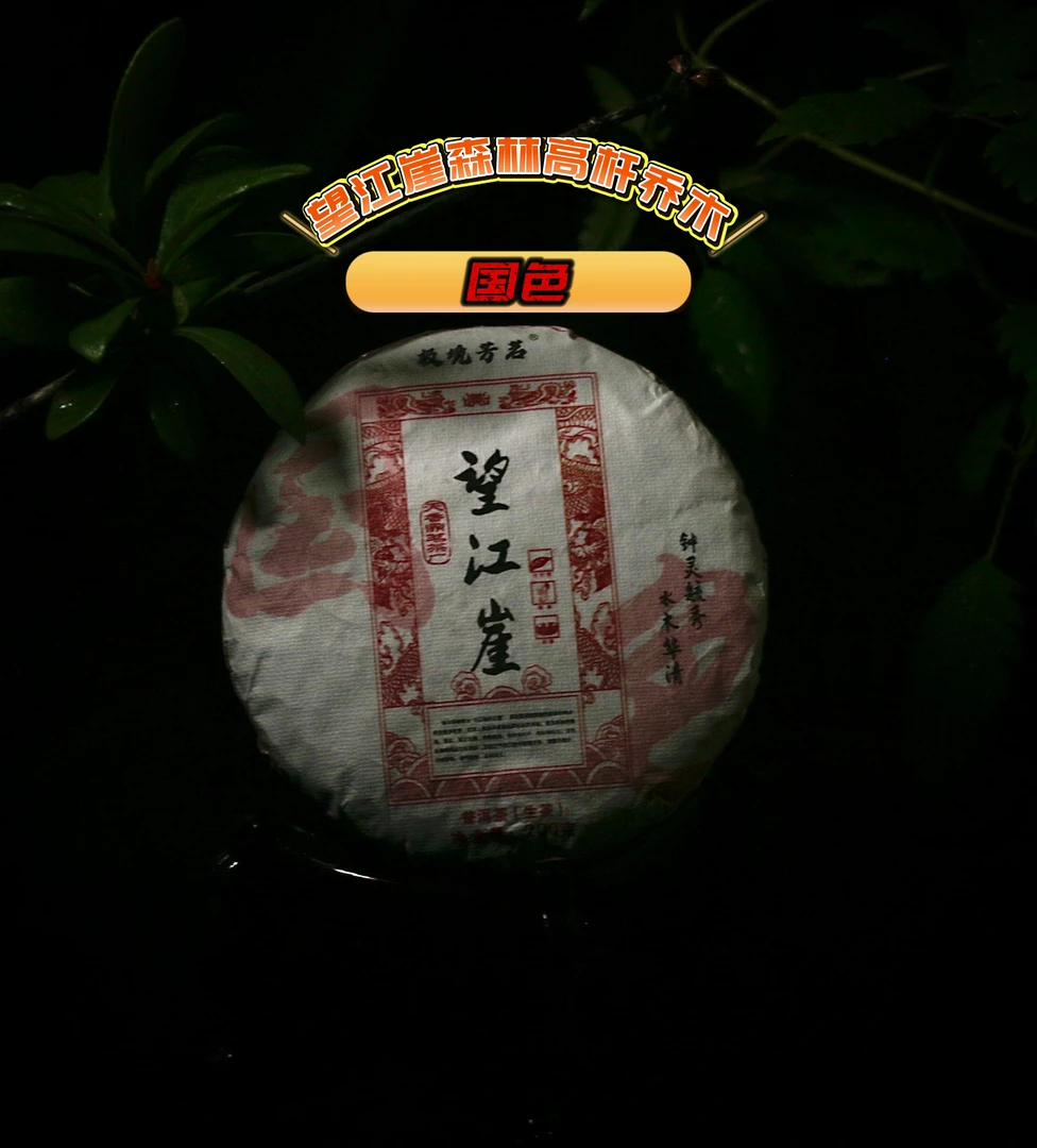 国色2023年望江崖云上茶园森林高杆普洱茶生茶