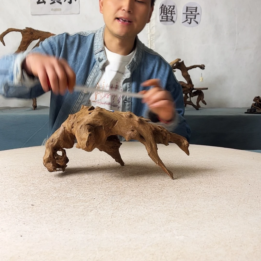 30.15.14 沉木造景爬宠造景